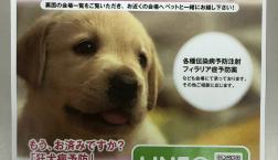 狂犬病予防の集合注射開催します