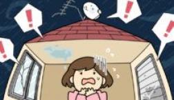 台風に備える今がチャンスです!