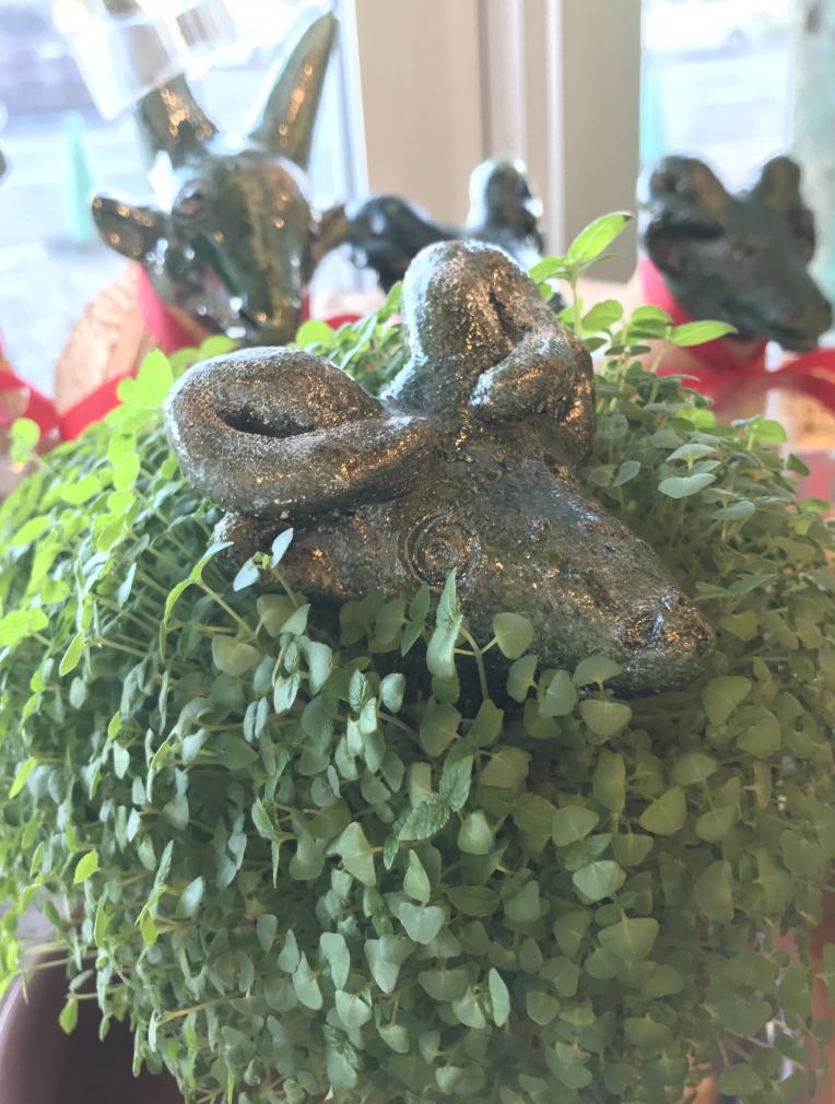 モコヤギ