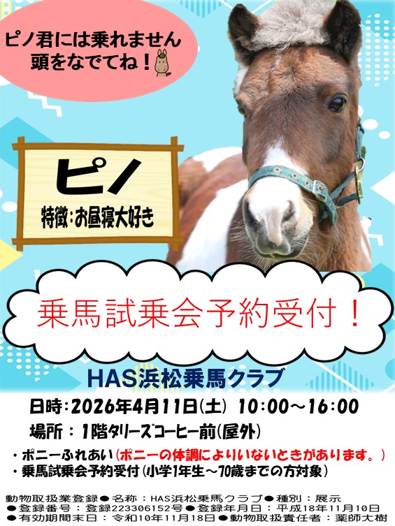 【イベント】ポニーふれあいイベント