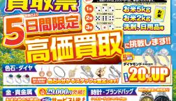 初夏の爽やか整理で、“お宝”見つけませんか？